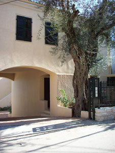Erkina house