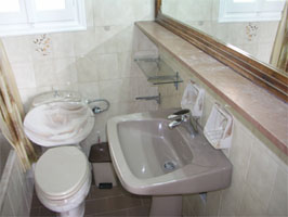 View of the bathroom
