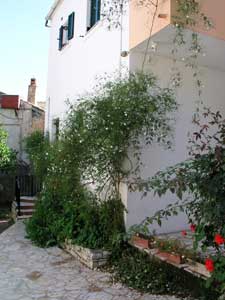 zoolis apartment