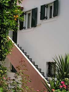 zoolis apartment