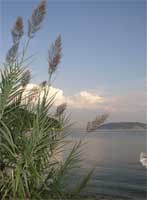 Kalami Bay