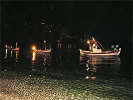 varkarola 2005