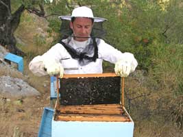 Corfu Travel Guide Beeceeper