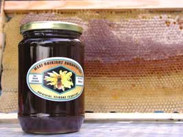 Corfu Travel Guide Beeceeper